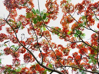 《死亡岛2》创意总监：没有计划重制初代《死亡岛》